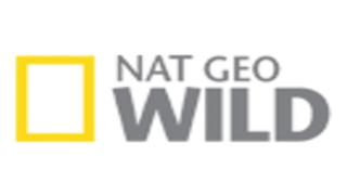 GIA TV Nat Geo Wild Logo Icon